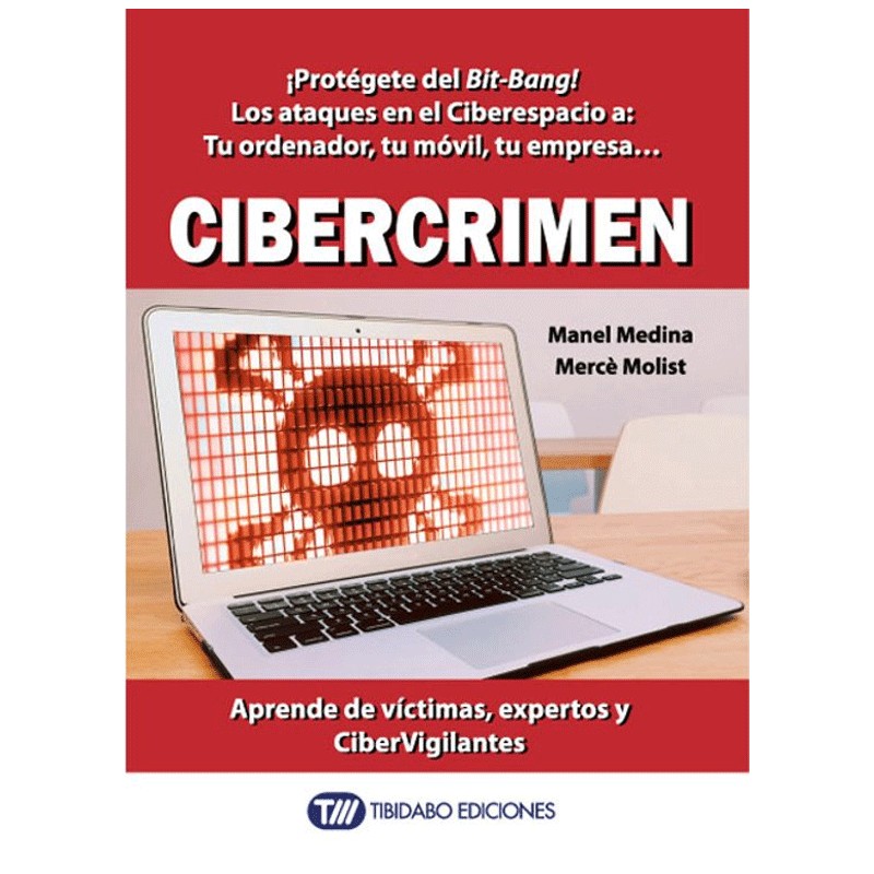 Ensayo sobre delitos digitales y ciberseguridad